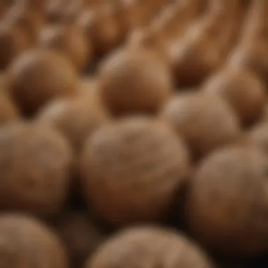 A collection of rattan spheres in various sizes and textures.