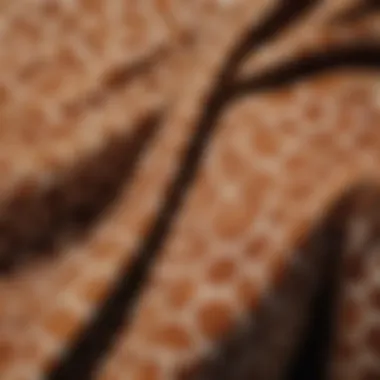 Close-up of giraffe blouse fabric showcasing unique patterns