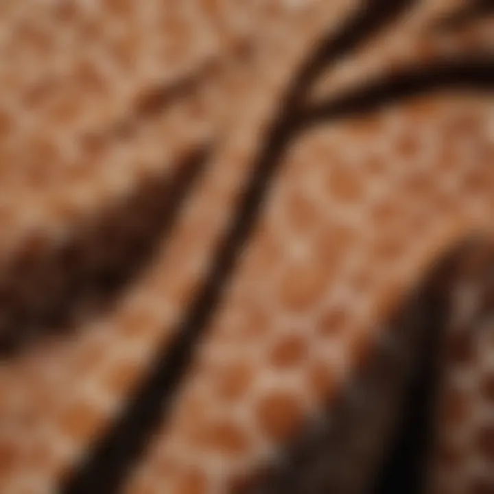 Close-up of giraffe blouse fabric showcasing unique patterns