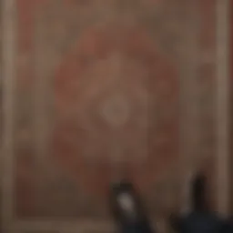 Elegant low profile entrance rug showcasing intricate patterns