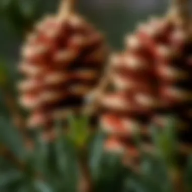 Close-up of intricately designed artificial pine cones used in jewelry