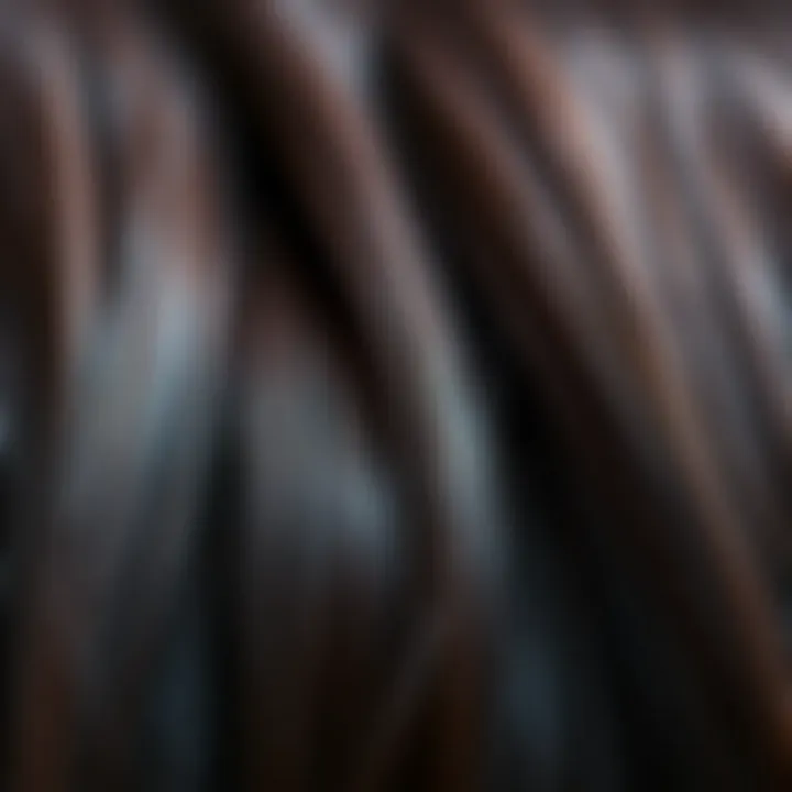 Close-up of high-quality hair extension strands with a rich sheen