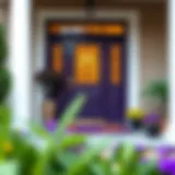 Elegant purple door mat enhancing home entrance