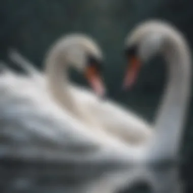 Close-up of a beautifully crafted swan painting