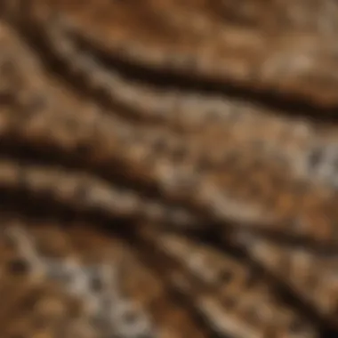 Close-up of luxurious leopard print fabric texture